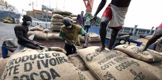 Cacao : l’OIA appelée à faire preuve de transparence après le rachat de 100 000 tonnes de stocks - Accueil